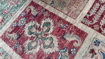 dredd onlyfans teen boobs camshow onlyfans